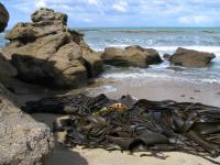 Albums/20060200-New Zealand 2006/20060316-Twiz/0